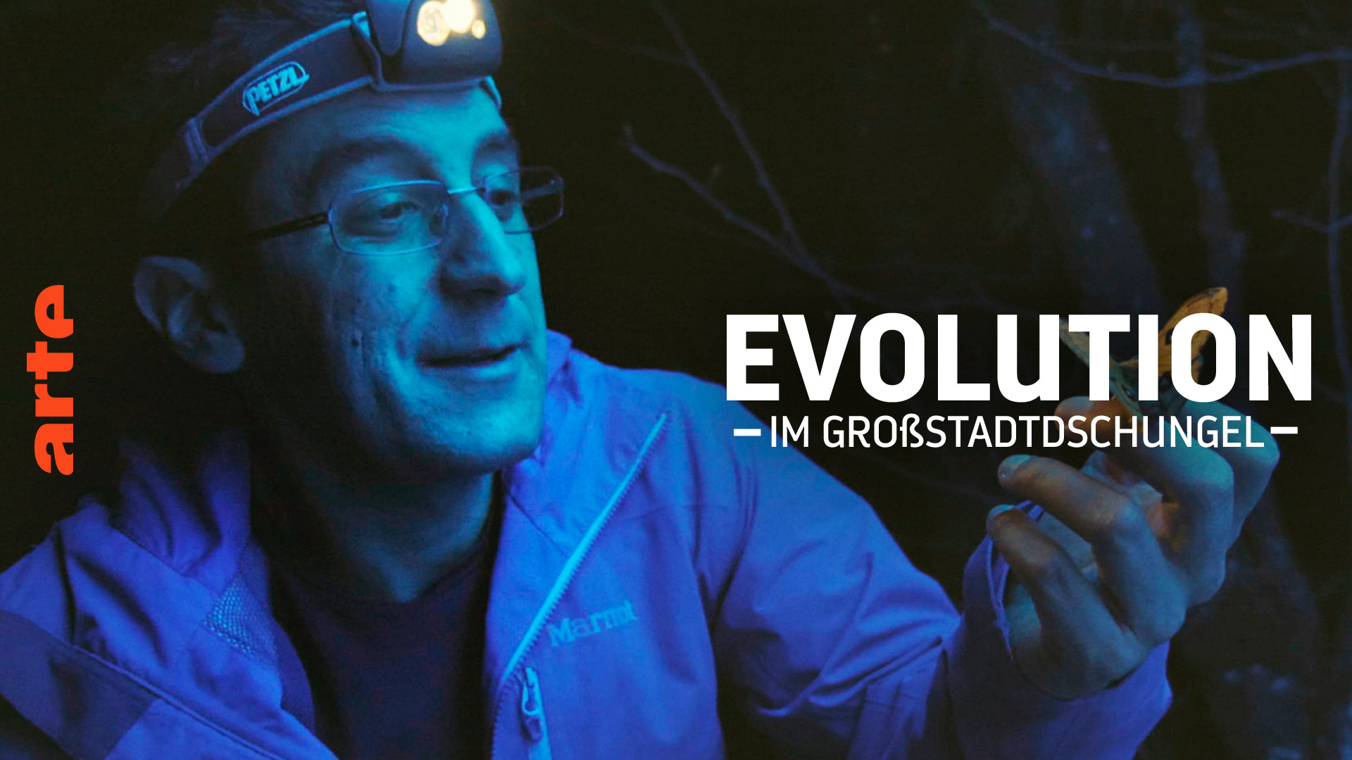 Evolution in Time Square